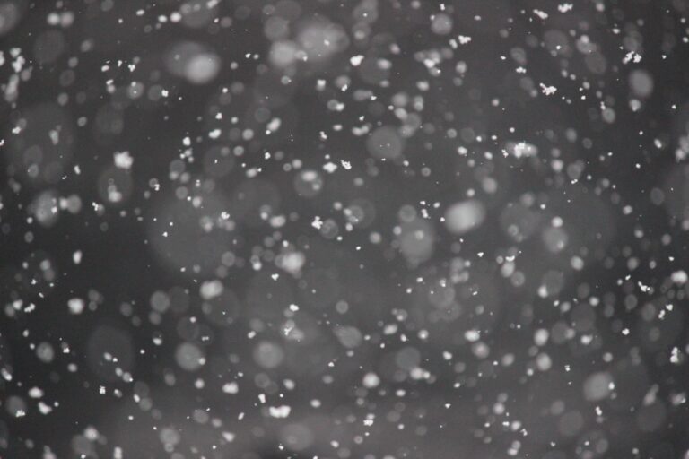 Abstract picture of snowflakes